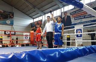 Mamak’ın altın yumrukları Ankara şampiyonu