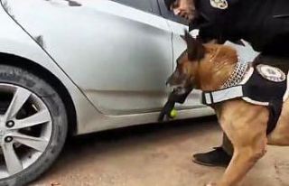 Narkotik köpeğinden kaçamayan otomobilin yakıt...