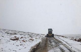 Nusaybin’de kardan dolayı kapanan yollar temizleniyor