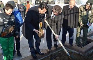 Öğrenciler Karaca için fidan dikti