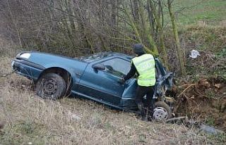 Otomobil ağaca çarptı: 1 yaralı