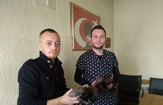 (Özel) 4 yavru köpeği çuvala koyup çöpe attılar