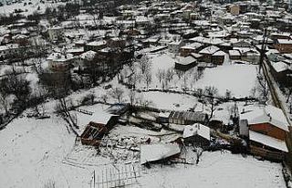 (Özel) Ahırın çatısı kara dayanamadı, 50’ye...