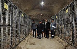 Pati Köy Kışın Da Güzel