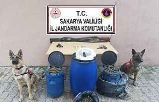 Sakarya’da 11 kilogram esrar ele geçirildi: 1 gözaltı