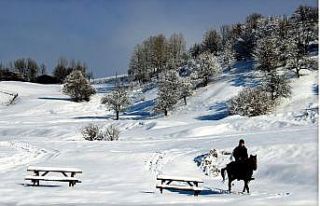 Sakin şehir Şavşat’ta çekilen fotoğraflar hayran...