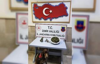 Saklanan uyuşturucuları narkotik köpeği ‘Varlı’...