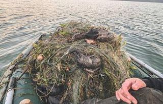Sapanca Gölü’ndeki ’hayalet ağ’ konusunda...