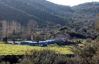 Selçuk’ta Roman krizinde önemli gelişme: Talimat...