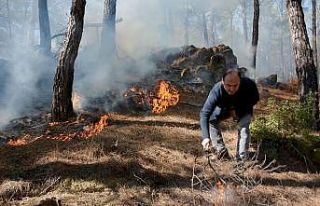 Seydikemer’de kış ortasında orman yangını