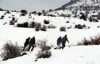 Siirt’te yaban hayvanları için doğaya yem bırakıldı