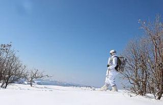 Şırnak’ta “Kapan-5 Gabar Operasyonu” başlatıldı