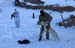 Şırnak’ta kayıp çifti arama çalışmaları...