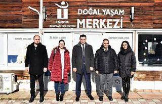 Sokak hayvanları için iş birliği