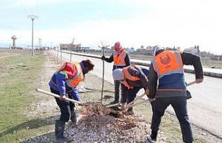 Suriye’nin kuzeyi Barış Pınarı ile yeşilleniyor