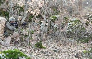 Teröristlere ait sığınak, barınak ve mevziler...