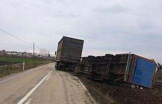 Tır devrildi, 2 bin 200 tavuk telef oldu