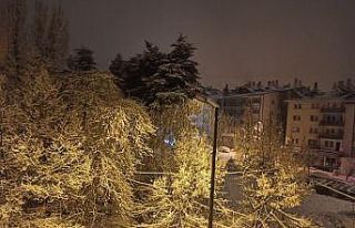 Tunceli’de kar 184 köy yolunu ulaşıma kapattı