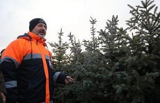 Türkiye’nin en kapsamlı fidanlığı Kocasinan’da