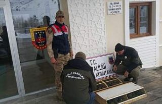 Van’da 75 Common Myna kuşu ele geçirildi