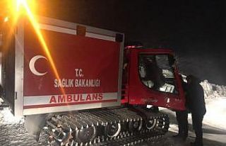 Yaban hayvanlarına yem vermeye giden ekip Nemrut...