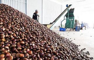 Yaş meyve sebze ihracatçılarının 2020 hedefi...