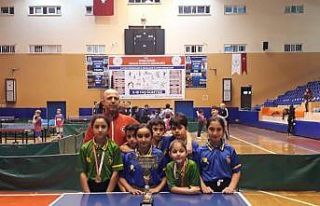 Başak Koleji masa tenisinde il şampiyonu oldu