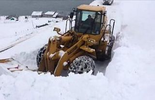 Bingöl’de köy yoluna çığ düştü