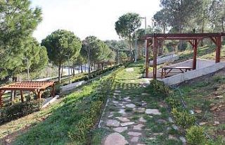 Deniz ve doğanın buluşma noktası Taylıeli Piknik...