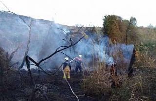 Erdek’te arazi yangını