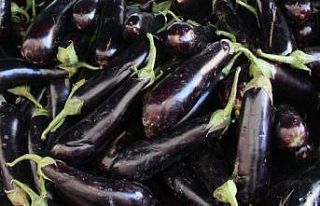 Erzincan, Bayburt ve Erzurum’da patlıcan zam şampiyonu