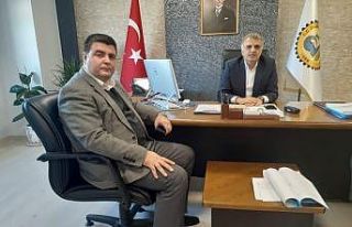 Her şey sokak hayvanları için