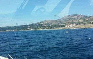 İmralı Adası’nda orman yangını