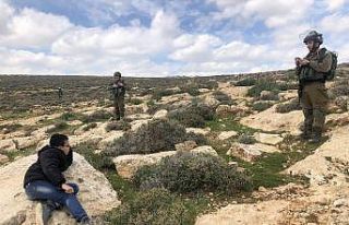 İsrail güçleri, Filistinlilerin zeytin ekmesini...