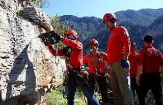 Kayalıklarda mahsur kalan oğlağı AKUT ve JAK kurtardı