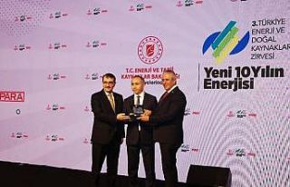 Limak Enerji’ye zirvede ödül