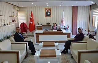 Mesleki rehberlik projesi gerçekleştirildi