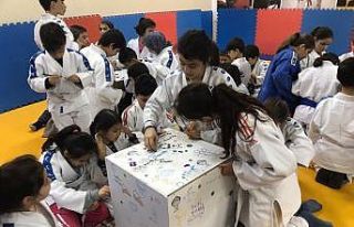 Minik judocular soğukta kalan kediler için harçlıklarıyla...