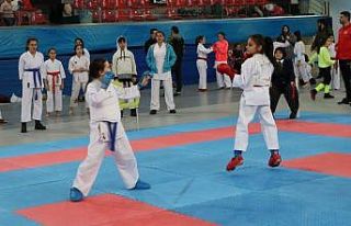 Okullar arası Karate İl Birinciliği müsabakaları...