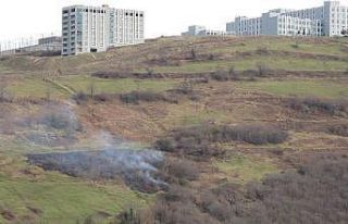 Samsun’da örtü yangını