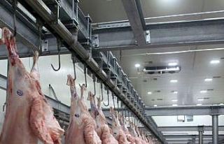 Şarbon hastalığı mezbaha ve havyan pazarını...