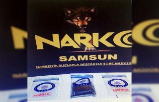 Satışa hazır bonzai ile yakalandı