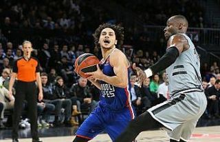 Shane Larkin milli kadrodan çıkarıldı