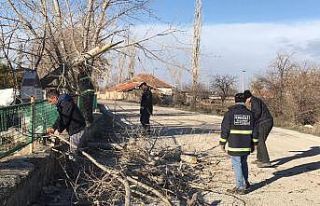 Şiddetli rüzgar direk ve ağaları devirdi