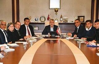 Sivrisinekle fiziksel ve kültürel mücadele