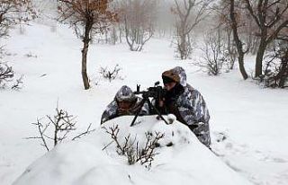 Teröristler Kapan’a girdi
