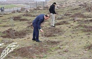 Vali fidan dikilen alanlarda inceleme yaptı