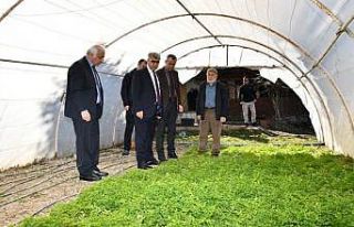 Vali Gürel’den örtü altı üreticilerine ziyaret