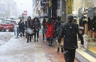 Van’da lapa lapa kar yağışı