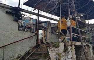 Yaşlı çifti ölüm bile ayıramadı